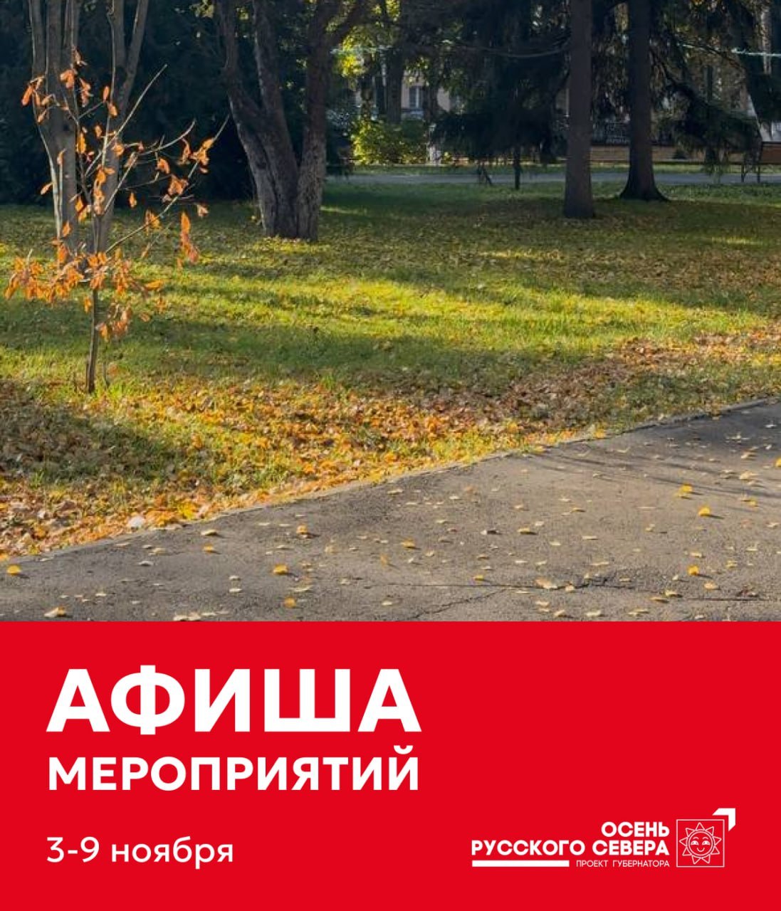 Сохраняйте себе афишу мероприятий в Вологде с 3 по 9 ноября, глава Вологды Сергей Жестянников поделился