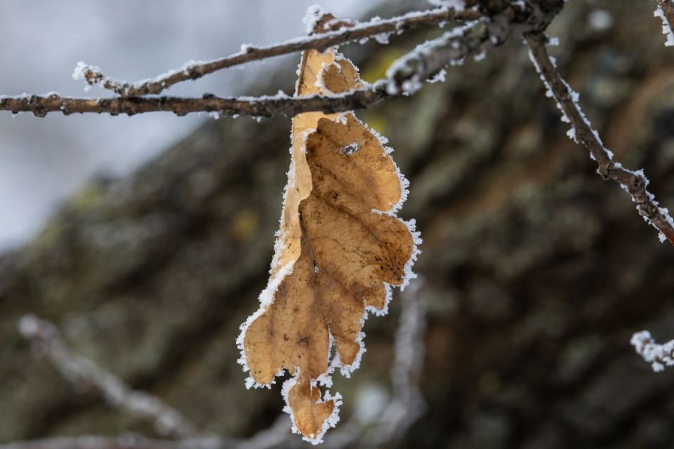 В регионе ухудшаются погодные условия
