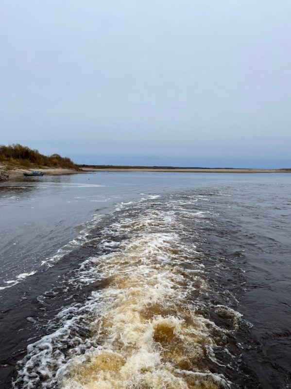 Глазами нашего корреспондента и словами нашей землячки… Глазами нашего корреспондента и словами нашей землячки…