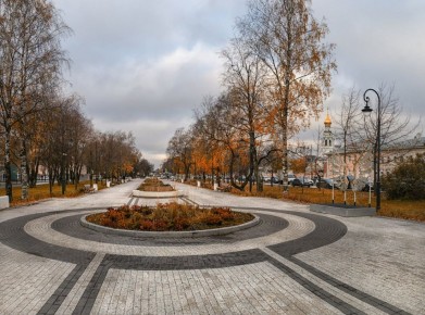 Днём по области +6° +8°, небольшой дождь