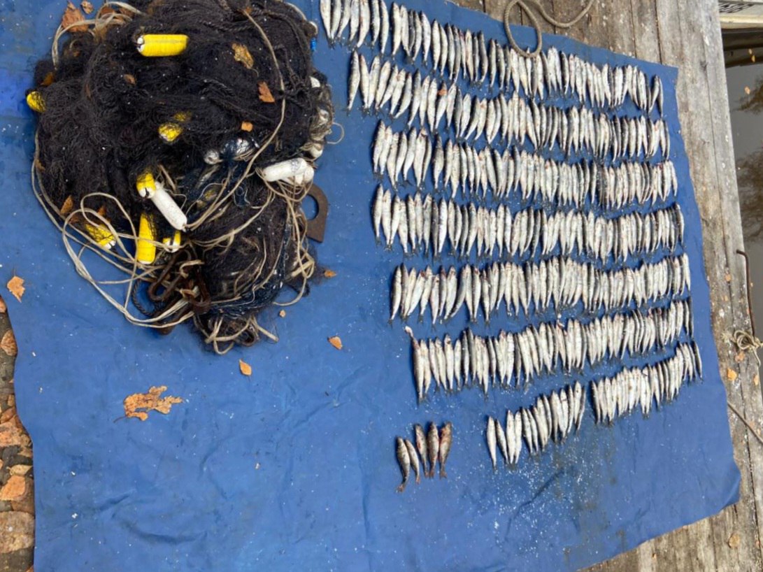 Любителя незаконной рыбалки задержали в Вытегорском округе