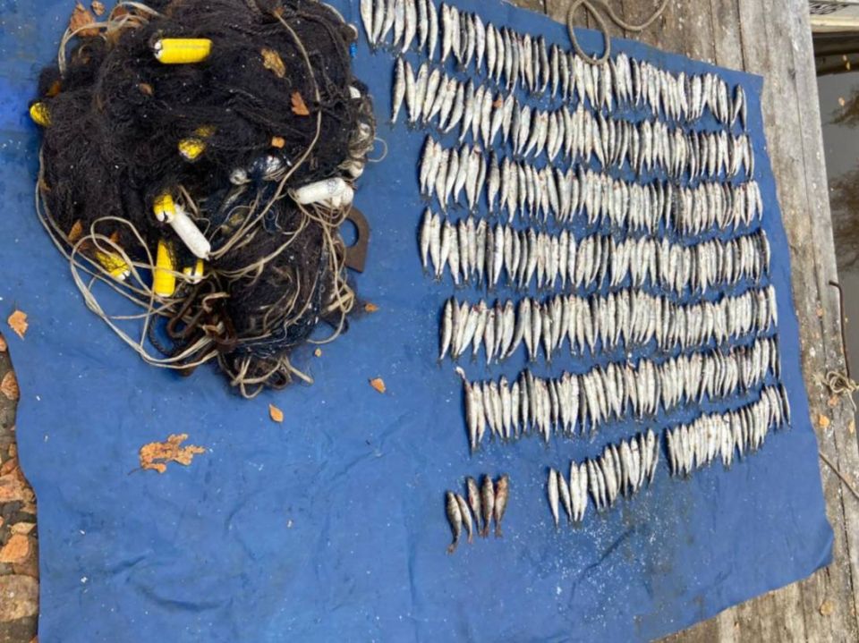 В акватории Онежского озера в Вытегорском районе Вологодской области сотрудники транспортной полиции пресекли незаконный лов рыбы