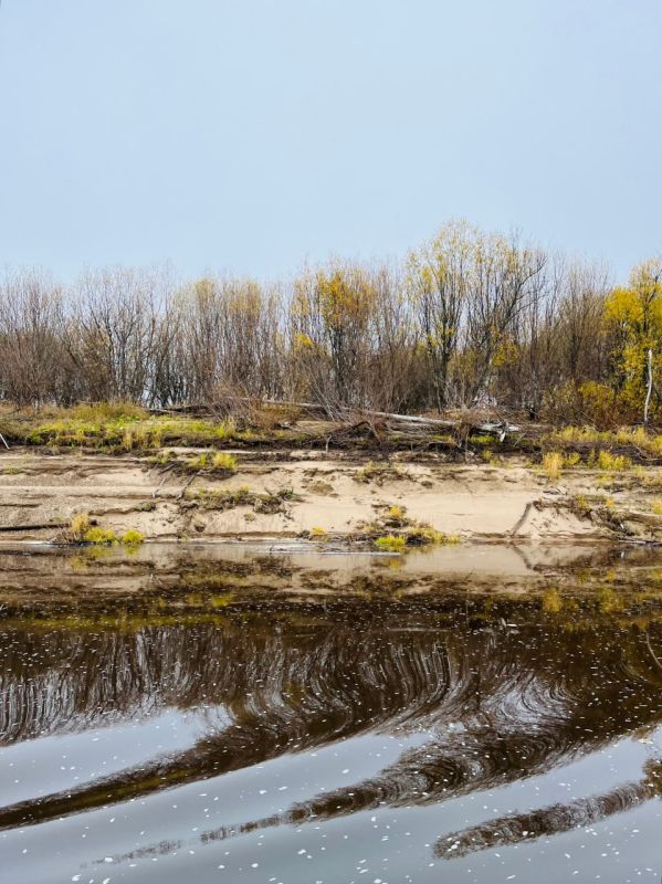 Глазами нашего корреспондента и словами нашей землячки… Глазами нашего корреспондента и словами нашей землячки…