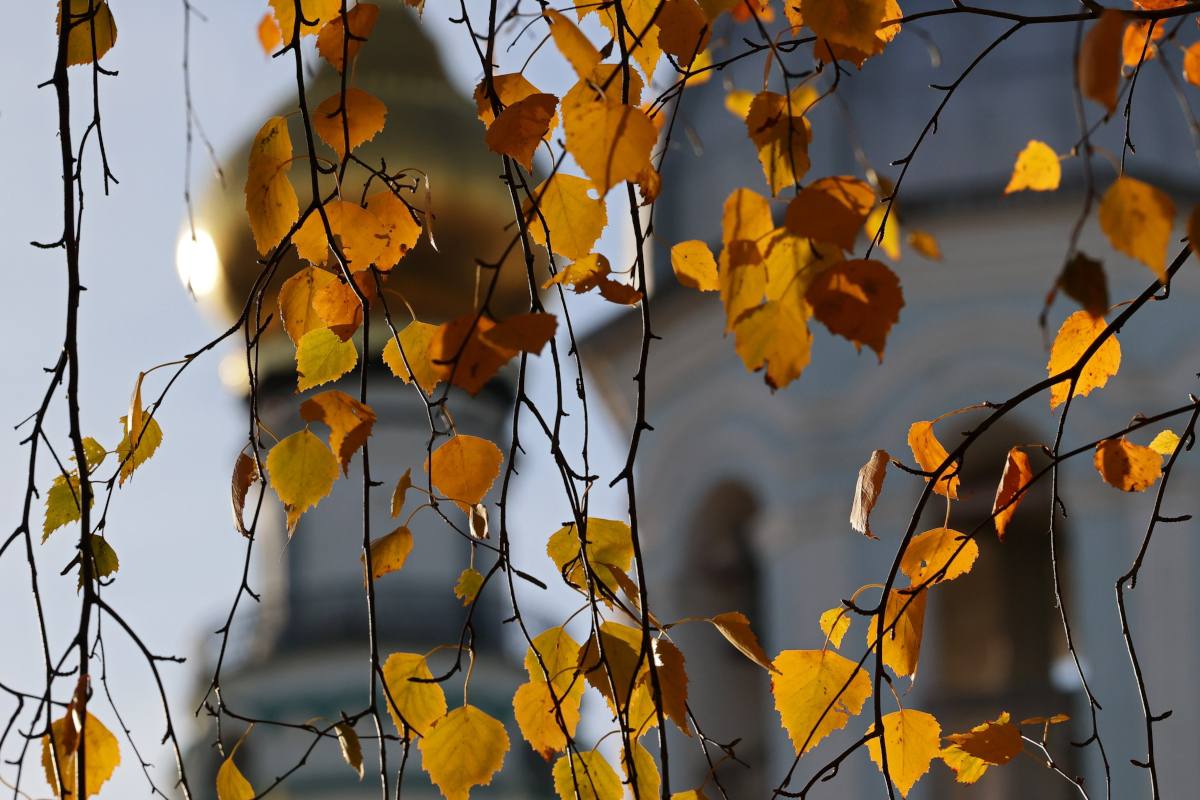 Среднесуточная температура в области до конца недели будет превышать климатическую норму на 6 градусов