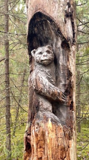 Вот такие удивительные деревянные изваяния встретил в лесу под Соколом вологодский путешественник Александр Павлов