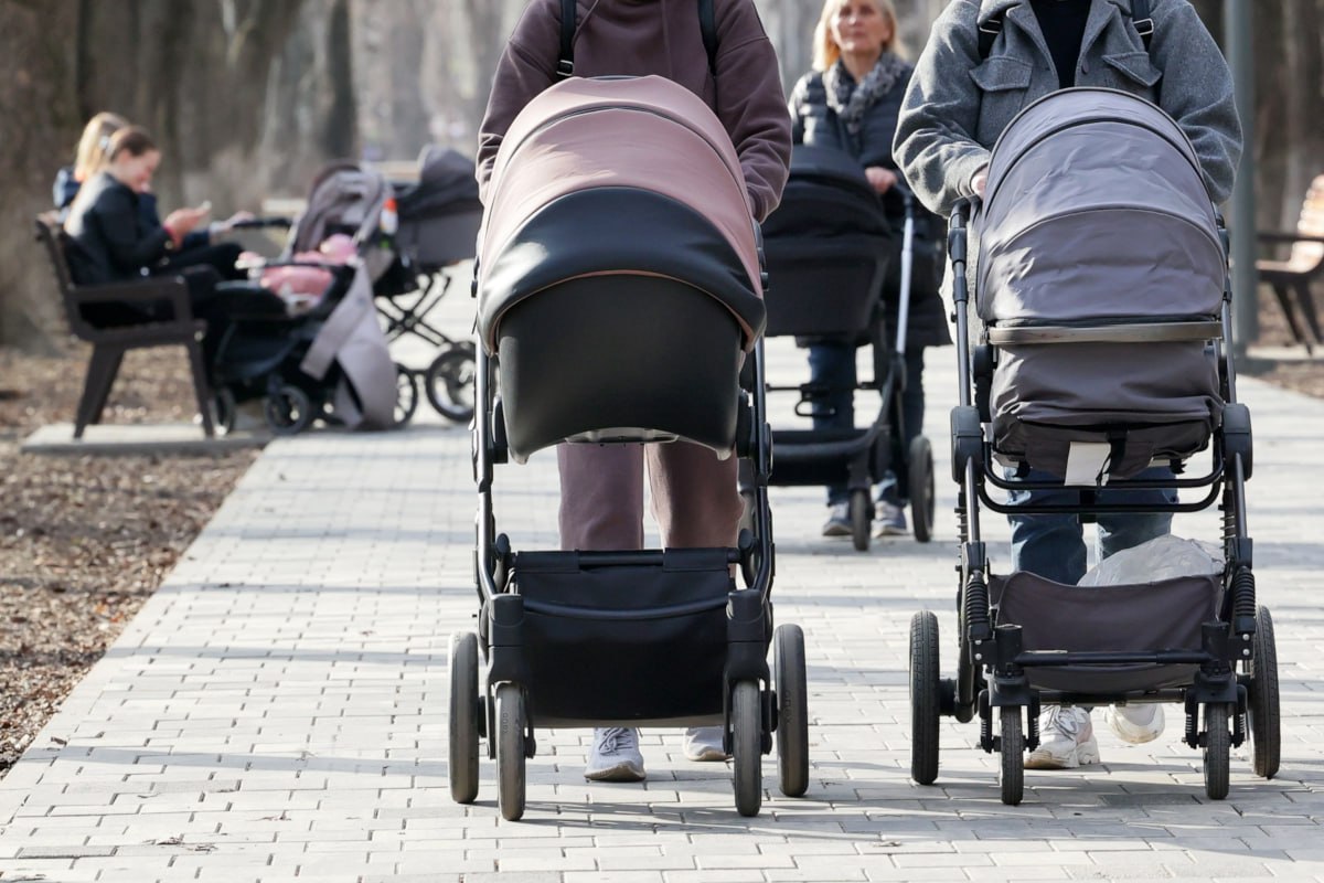 Поддержка семей в Вологодской области!