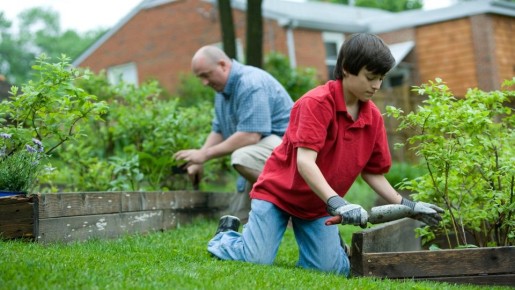 Никакой мешковины: опытные дачники утепляют растения на зиму другим материалом