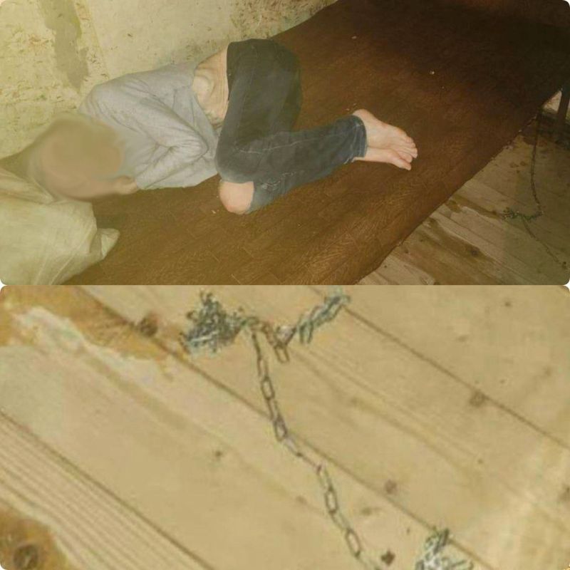 Председатель Следственного комитета РФ Александр Бастрыкин затребовал доклад о расследовании уголовного дела по факту противоправных действий в отношении женщины в Вологодской области