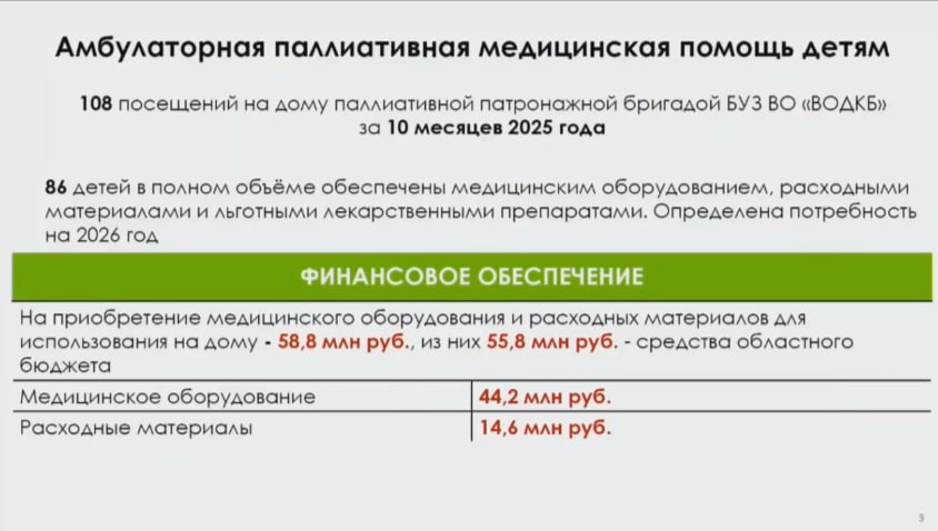 Министр здравоохранения Николай Гонтюрев докладывает о паллиативной помощи детям Министр здравоохранения Николай Гонтюрев докладывает о паллиативной помощи детям