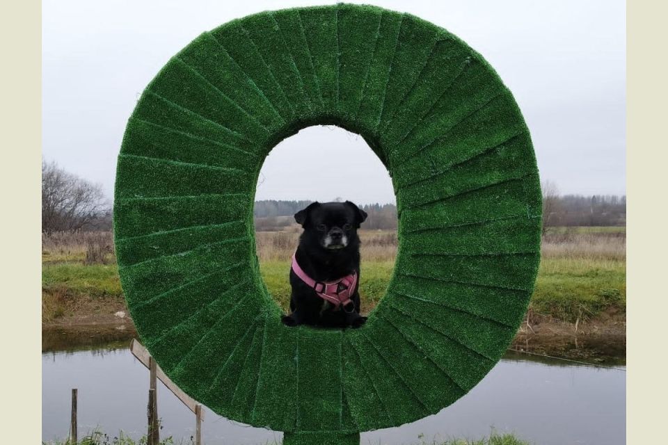 В деревне ОзеркОвО под Вологдой появился арт-объект в виде буквы «О»