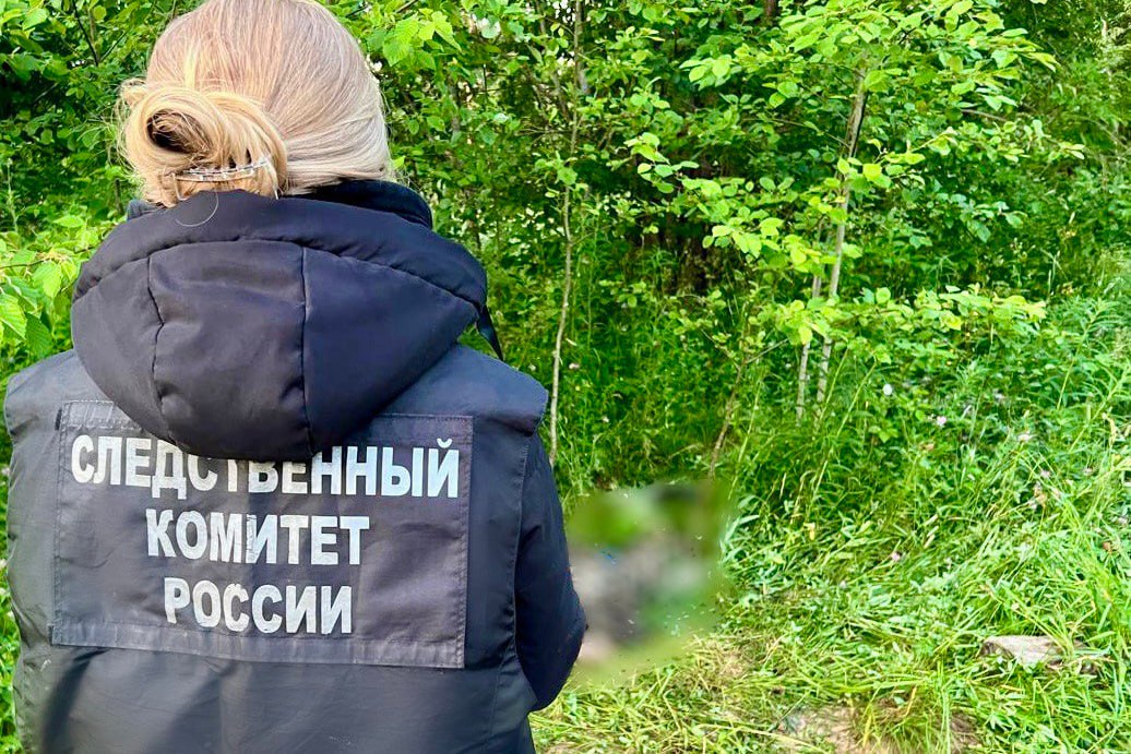 Перепутал с кабаном: вологжанин случайно застрелил брата в Великоустюгском округе