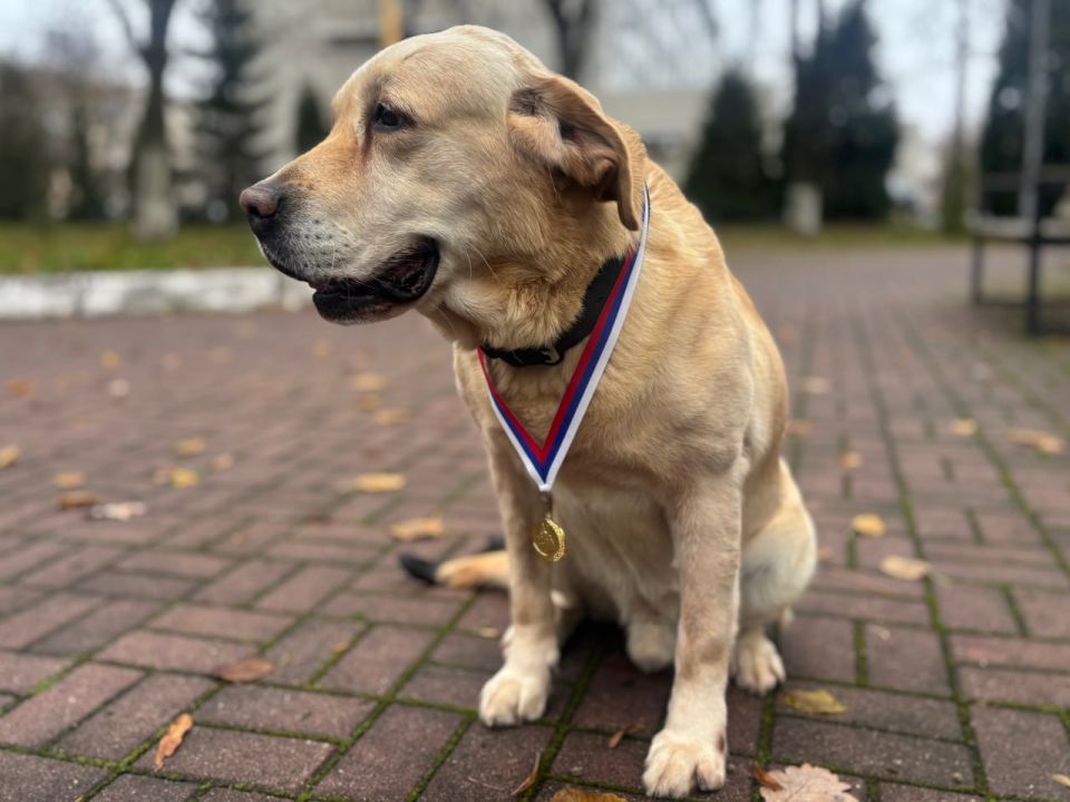 В Череповце хорошего мальчика проводили на пенсию