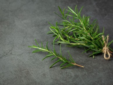 Как вырастить розмарин: секреты успешного ухода за ароматной травой на вашем участке