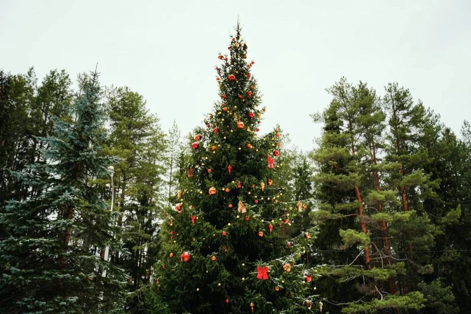 Губернатор Георгий Филимонов сообщил, что сегодня в Великом Устюге Дед Мороз зажжёт первую в России новогоднюю ёлку