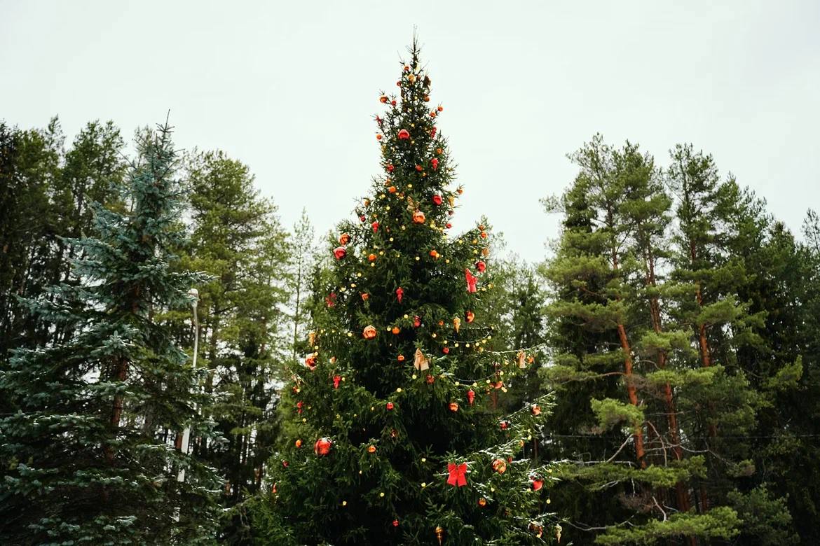 Губернатор Георгий Филимонов сообщил, что сегодня в Великом Устюге Дед Мороз зажжёт первую в России новогоднюю ёлку