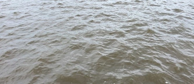 Грузовое судно село на мель в акватории Шексны-реки