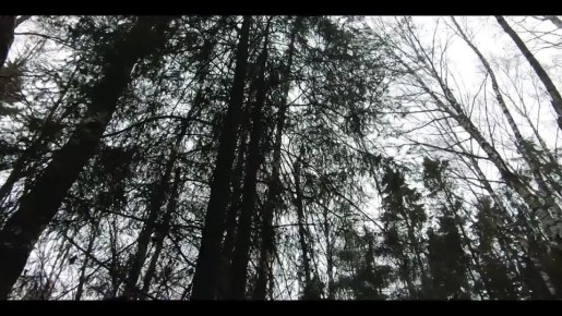 Мессенджер MAX поможет оставаться на связи!