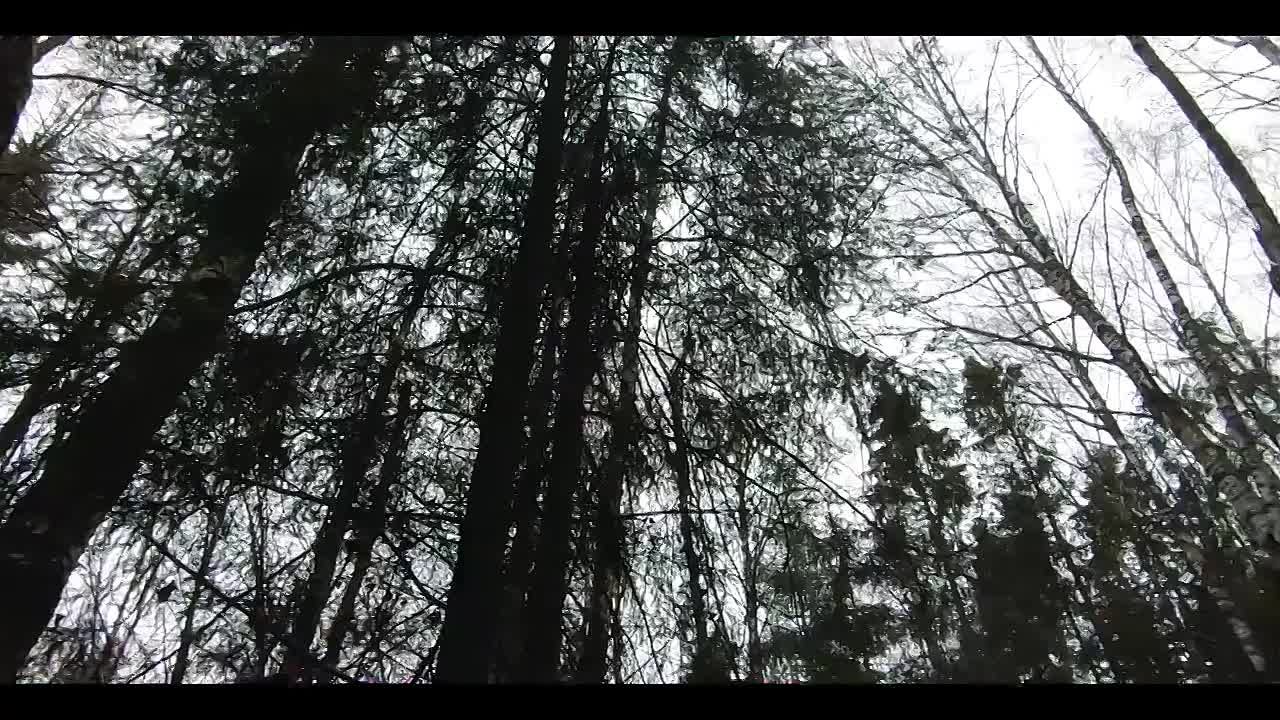 Мессенджер MAX поможет оставаться на связи!