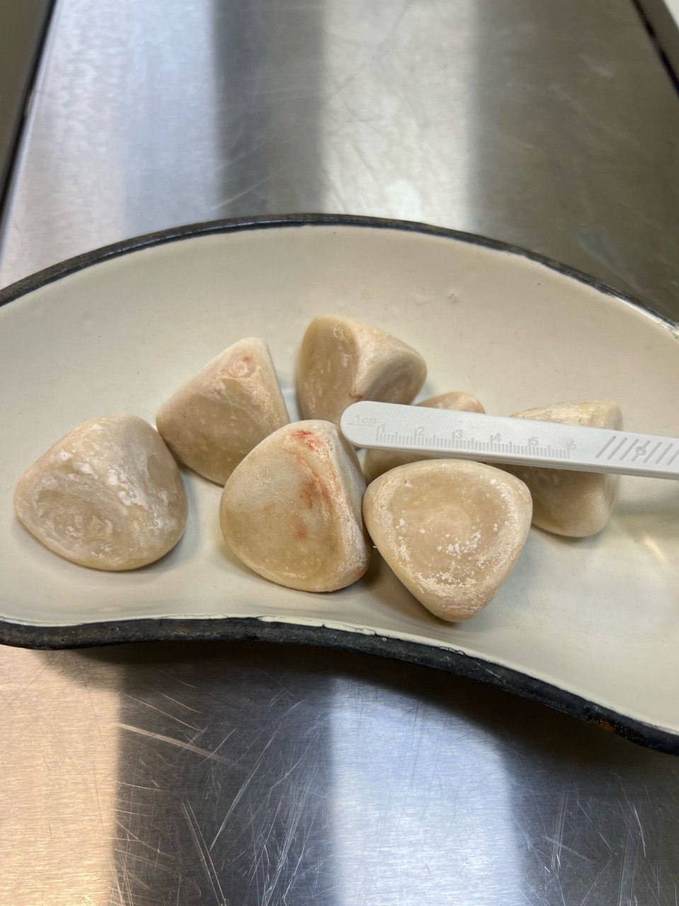 Рентген-аппарат нового поколения спас жизнь 10-летней собаке Торе! Рентген-аппарат нового поколения спас жизнь 10-летней собаке Торе!