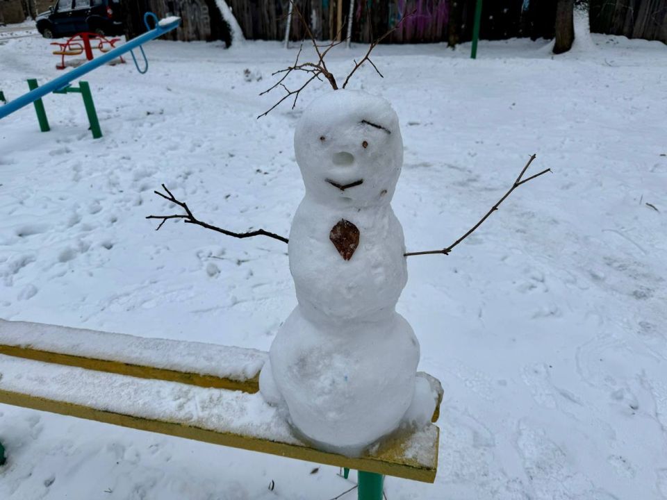 Днём по области -4° +1°, небольшой, местами умеренный снег