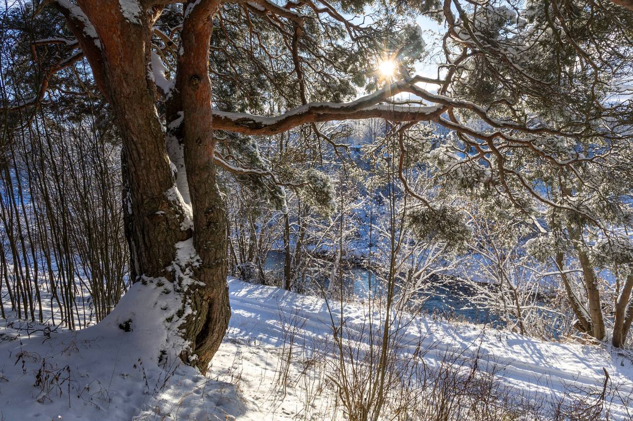 Днём -4° +1°, небольшой, местами умеренный снег, мокрый снег, в отдельных округах гололед