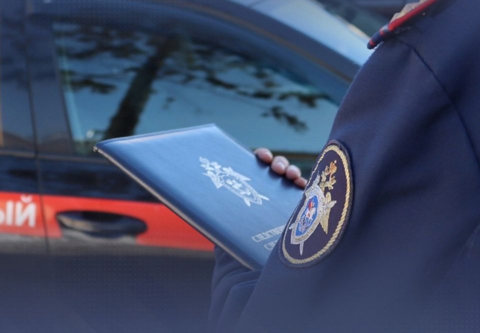 В Бабаево предъявлено обвинение мужчине и женщине в совершении противоправных действий в отношении 65-летней жительницы Бабаевского округа