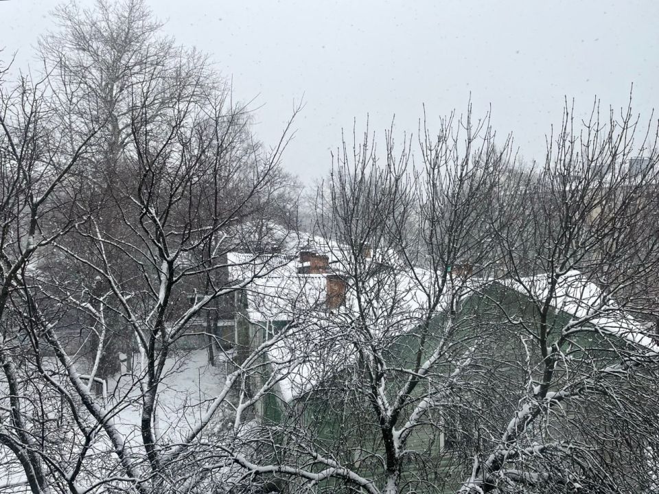 Переменчивая погода ожидает вологжан в ближайшие дни