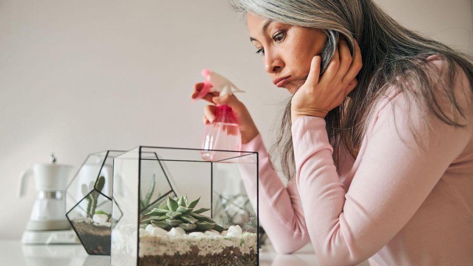 Хватит губить цветы: каждый цветовод совершает эту ошибку с кактусами