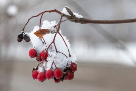 Какой будет погода в последнюю неделю ноября?