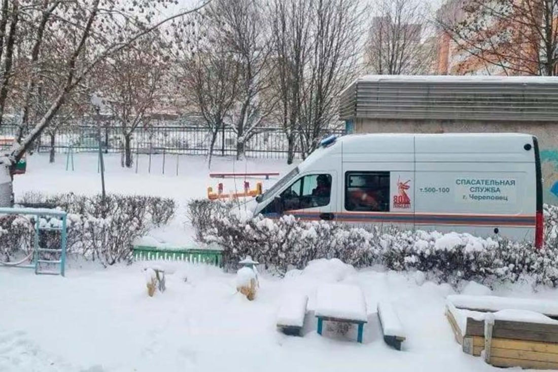 Лиса забралась в подвал детского сада в Череповце Лиса забралась в подвал детского сада в Череповце