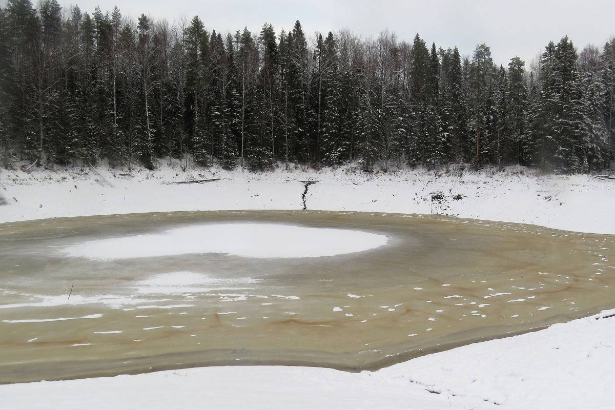 В высохшее озеро Черная Яма в Вытегорском округе начала возвращаться вода