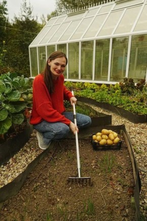 Как правильно расположить грядки: советы дачного эксперта