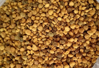 Пчелиная перга: сокровище природы для здоровья и долголетия