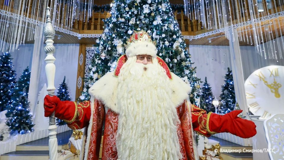 Говорящего стихами кота и волшебную палочку для выращивания клубники попросили дети у Деда Мороза, сообщили ТАСС в резиденции волшебника в Великом Устюге