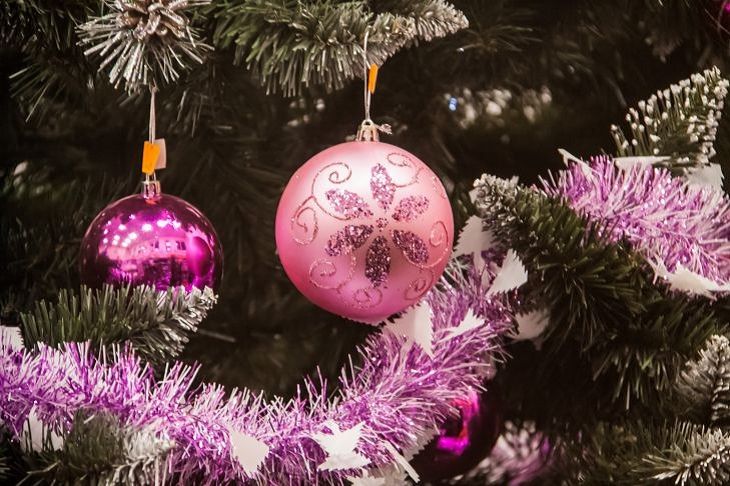      : 5    ,          2024 