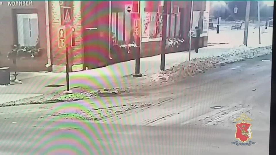 В Череповце сотрудники уголовного розыска задержали подозреваемую в краже елочных украшений