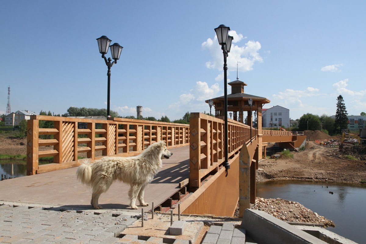 Всех собак в Вологодской области нужно будет чипировать