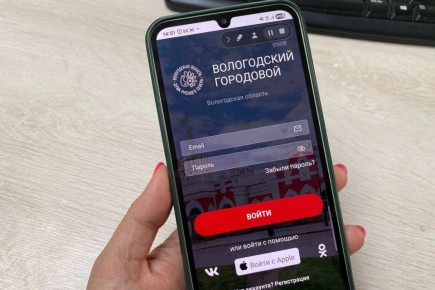 Более 4,1 тыс. вологжан используют приложение «Вологодский городовой»