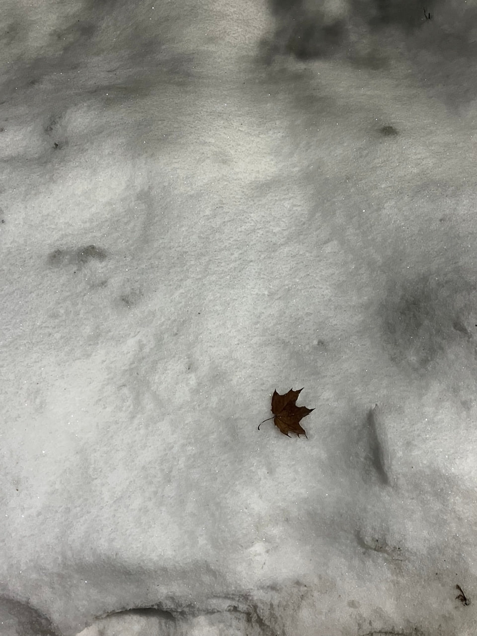 Вологда декабрьская... Такая разная и такая любимая Вологда декабрьская... Такая разная и такая любимая