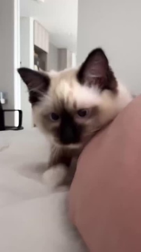 Днём -2° +3°, небольшие осадки (мокрый снег, дождь, снег)