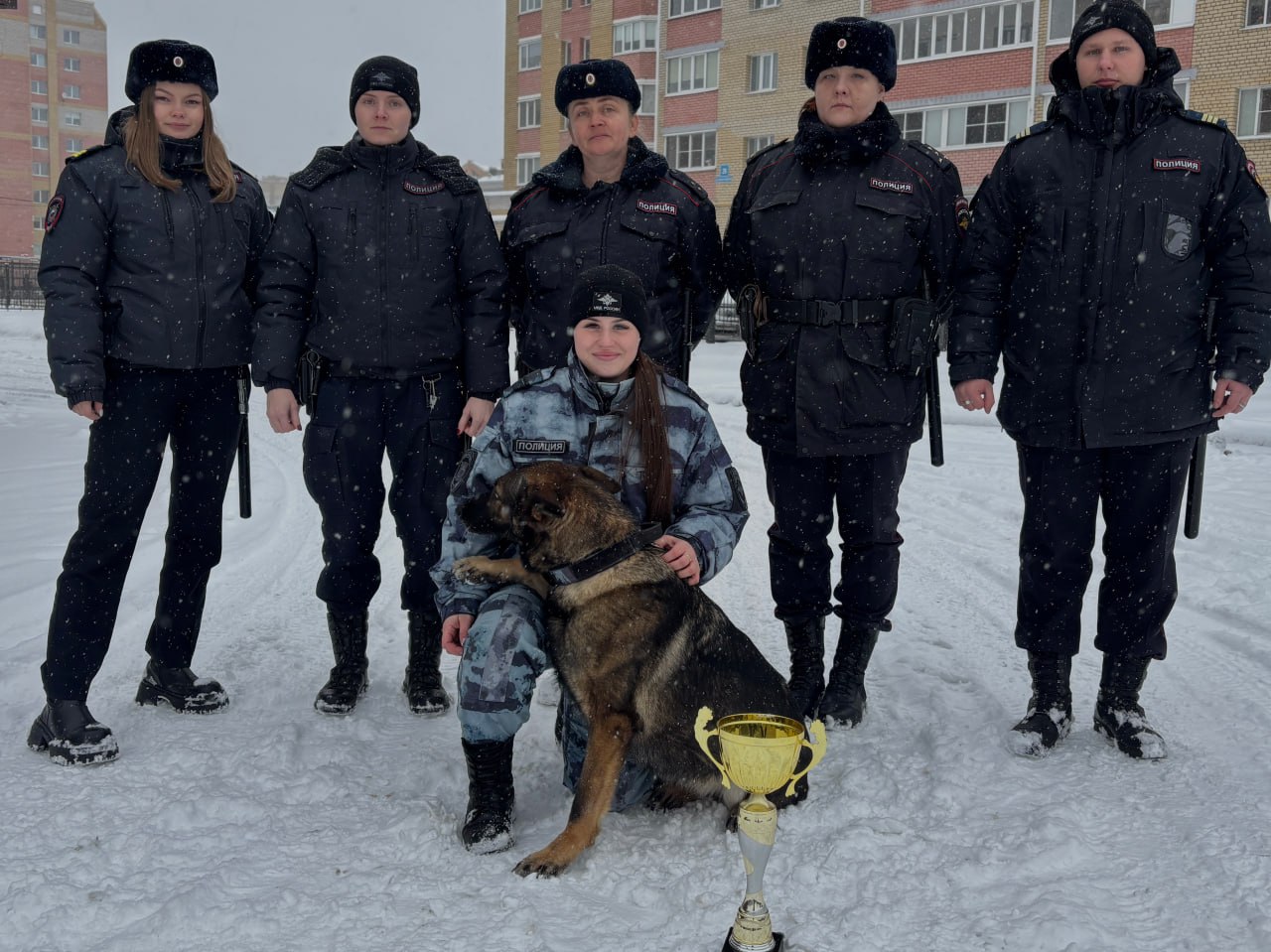 Череповецкие полицейские проводили на пенсию служебную собаку по кличке Глория
