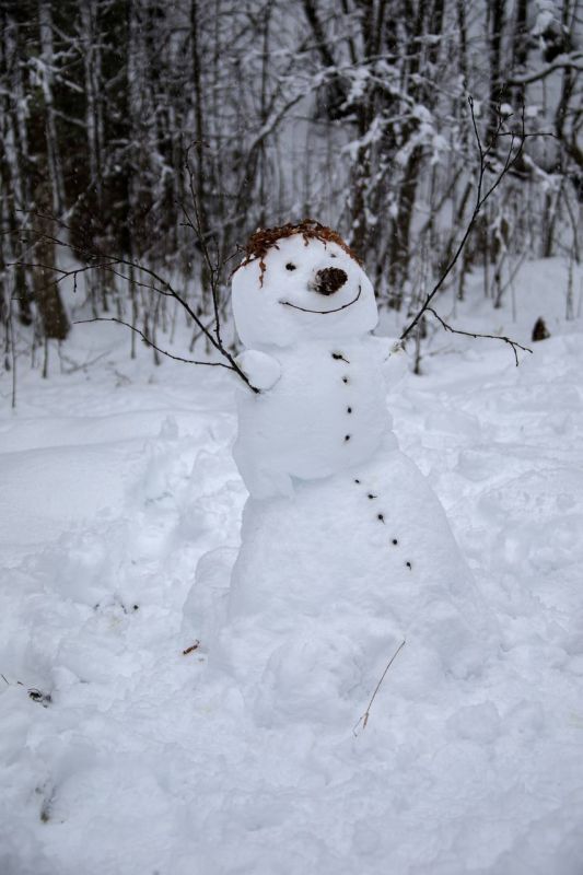 ���� �� ������� -4� +1�, ��������� ������ (����, ������ ����)