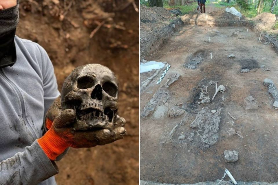 Тайны старого погоста: что расскажут останки, найденные в Вологде и Белозерске?