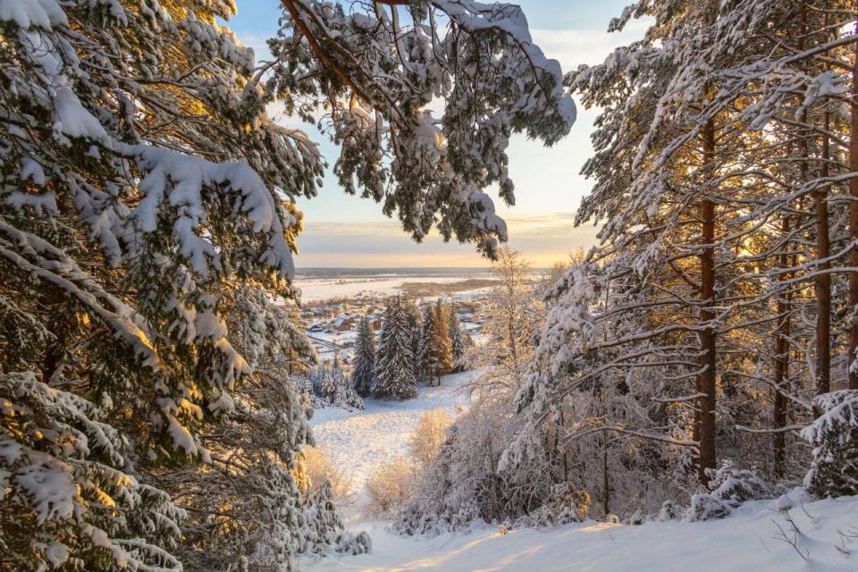 Днём 0° +5°, умеренные осадки (мокрый снег, дождь)