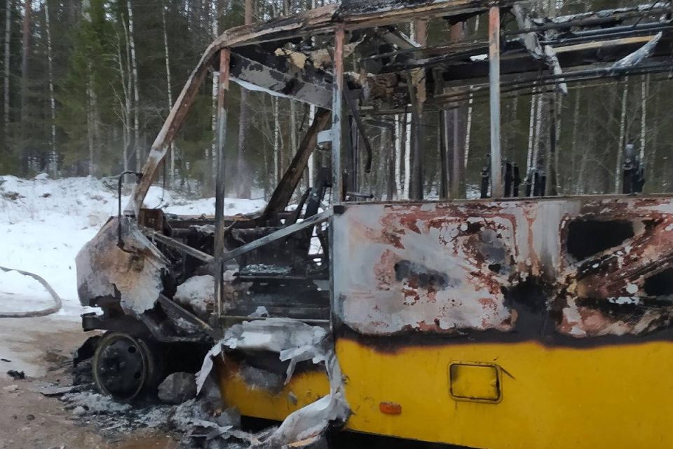 �������� ������� ��������� 12 ������� �� ������ � ������������ ������