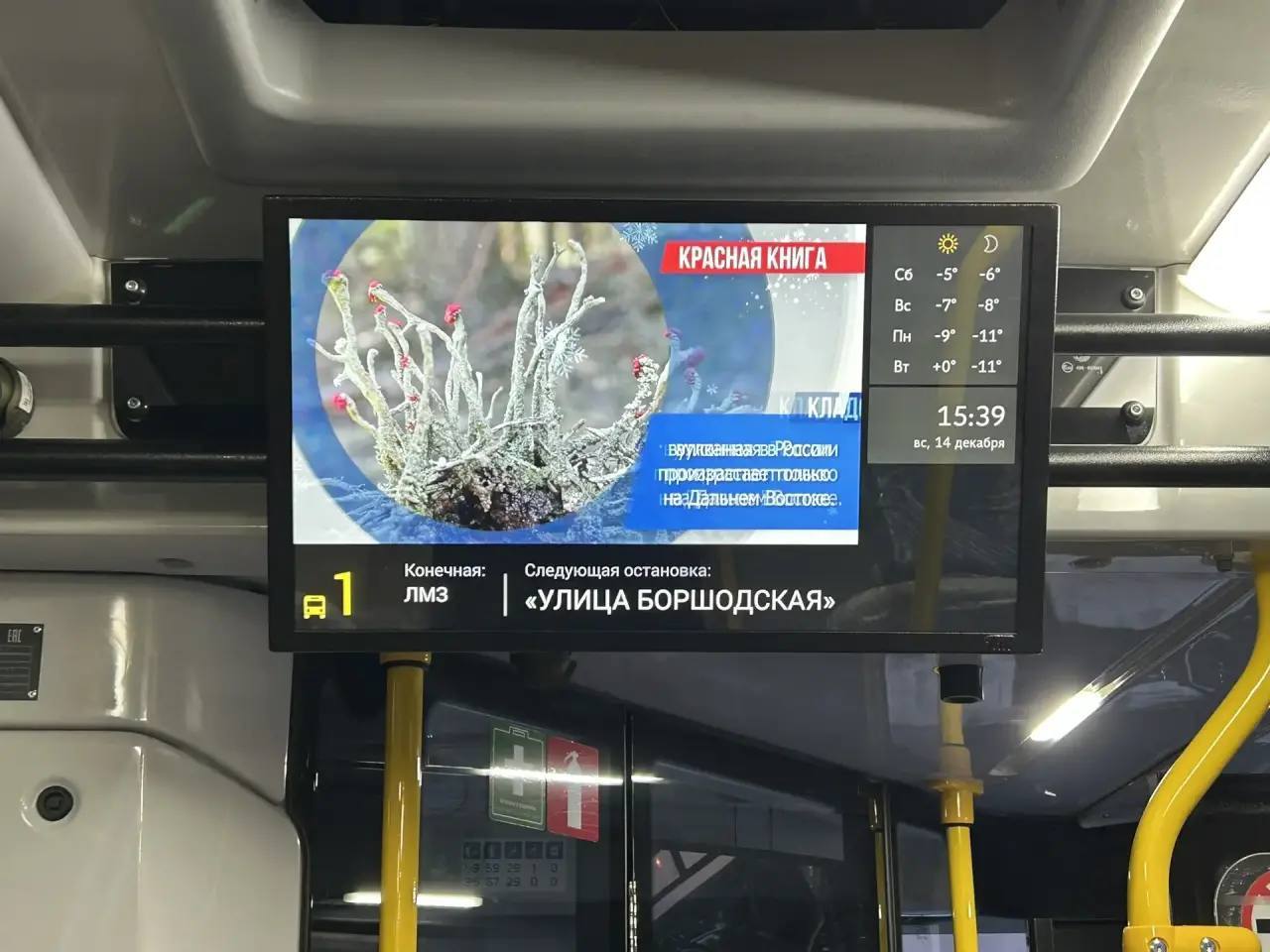 Ещё 3 новых автобуса поступили в Череповец Ещё 3 новых автобуса поступили в Череповец