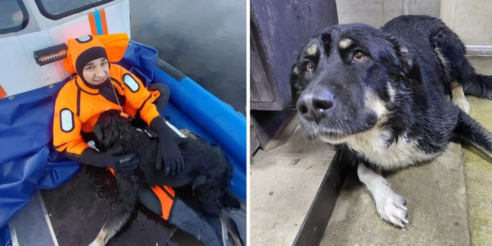 ������������� ��� �� ������ ������ ������ � ���������