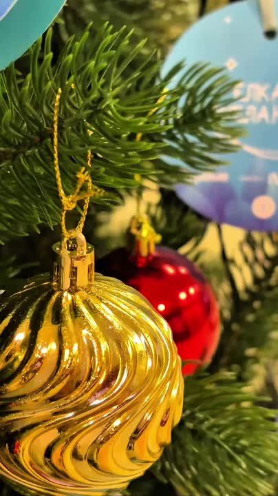 ������ ���������: ������� ������������� ������� �� ��������� ������� � ���� ����