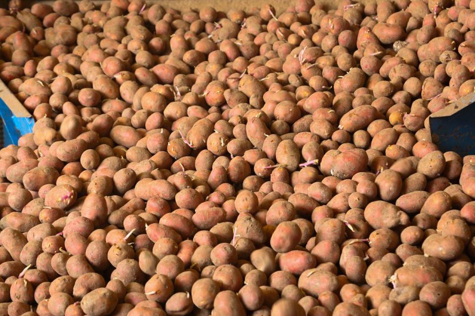 ������� ����������� ������� � 2025 ���� ������� ����� 90 ����� ���� ���������, ��� �� 4,6 ������ ���� ��������� ���������� �������� ����