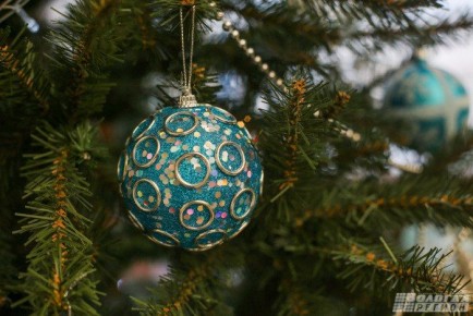 Елки кому? В Вологде с сегодняшнего дня открываются елочные базары